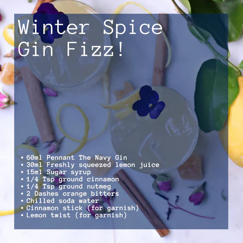 Winter Spice Gin Fizz